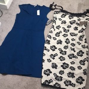 2 New York and company dresses size SM. $20.